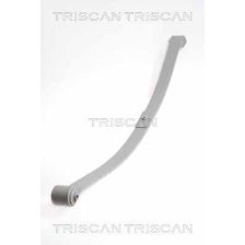 Leaf Spring TRISCAN 8765 29020