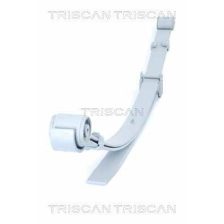 Leaf Spring TRISCAN 8765 29021