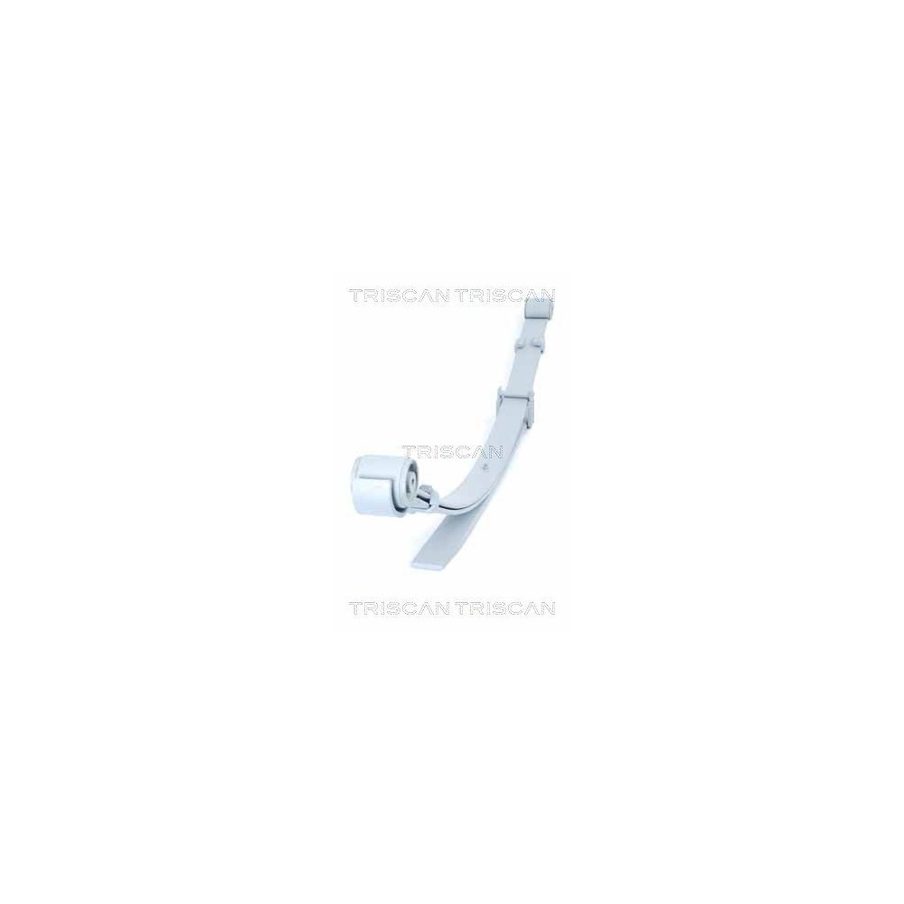 Leaf Spring TRISCAN 8765 29021