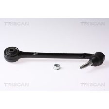 Control Arm/Trailing Arm