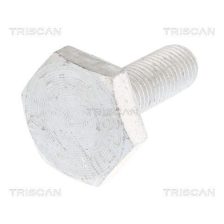 Mounting Bolt