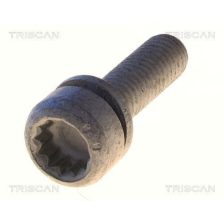 Mounting Bolt