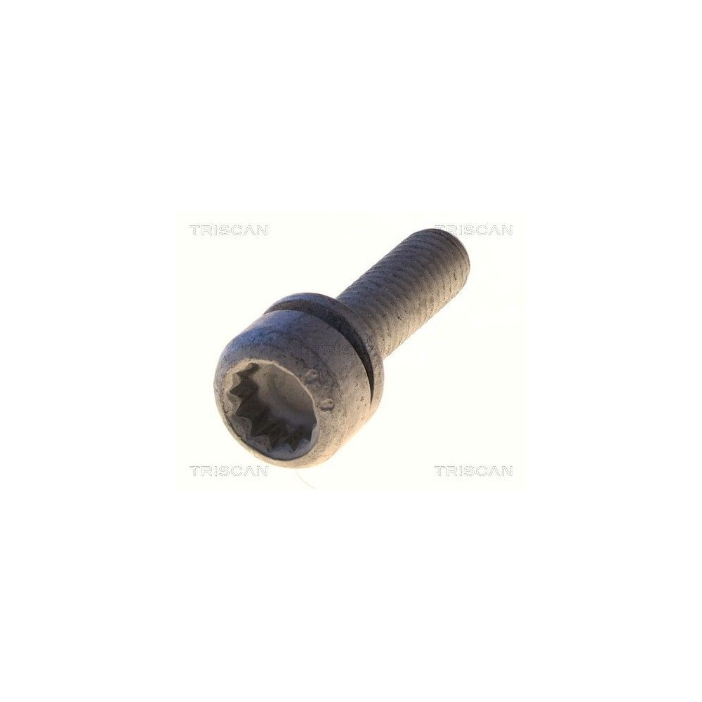 Mounting Bolt