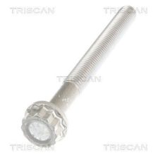 Mounting Bolt