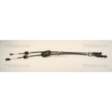 Cable Pull
