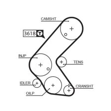 Timing Belt GATES 5563XS