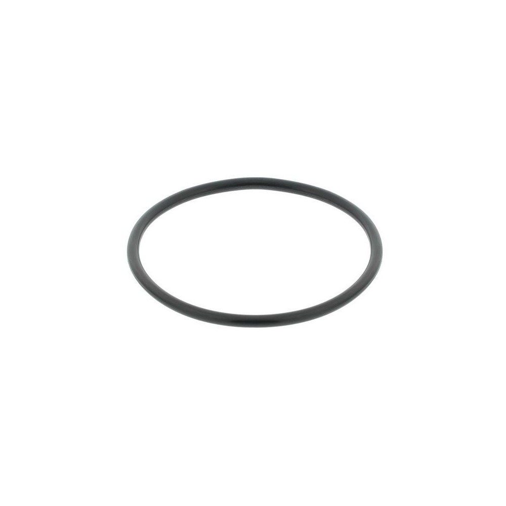 Seal Ring