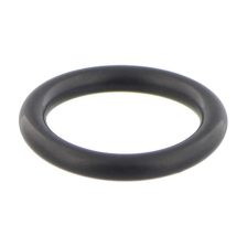 Seal Ring