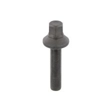 Bolt