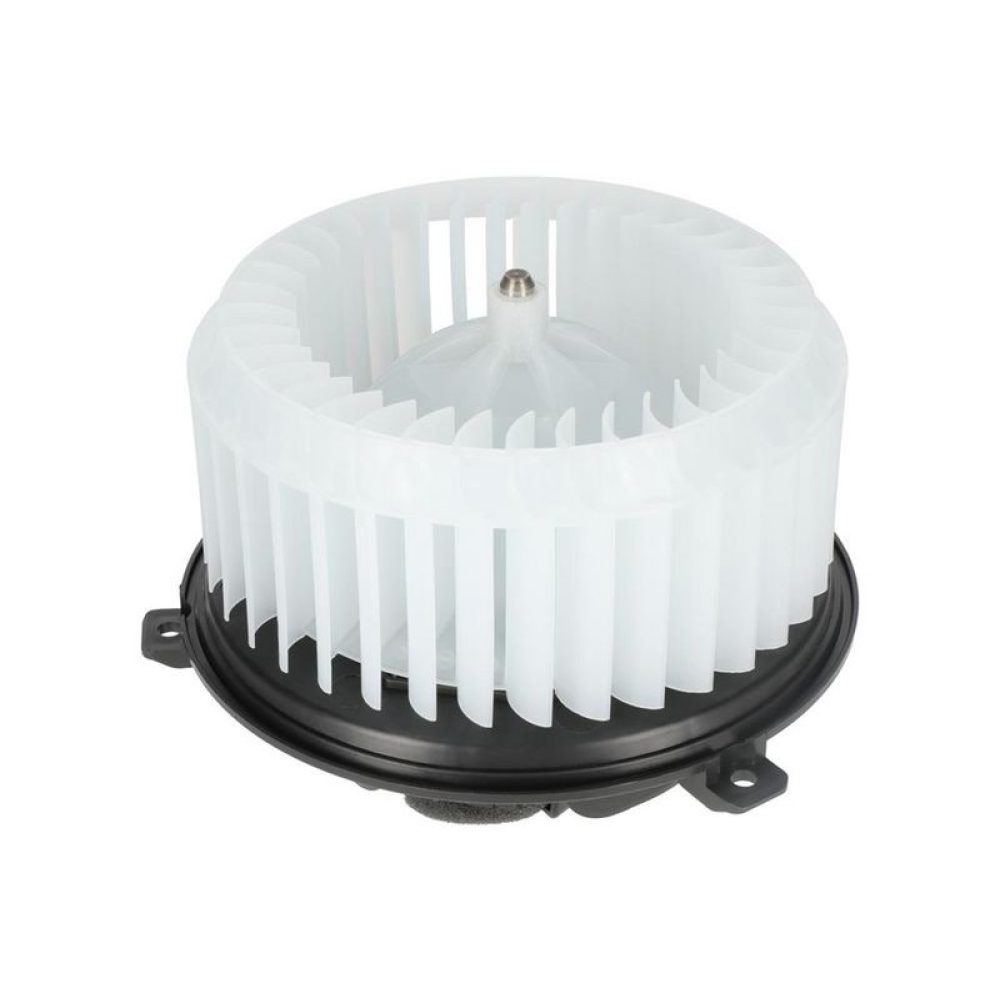 Interior Blower TOPRAN 209 192