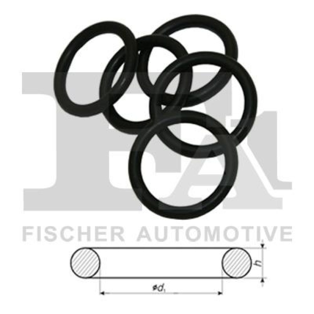 Seal Ring FA1 244.850.100