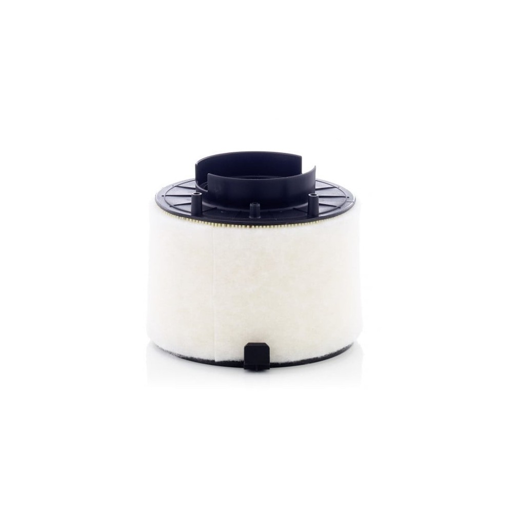 Gaisa filtrs MANN-FILTER C 17 009