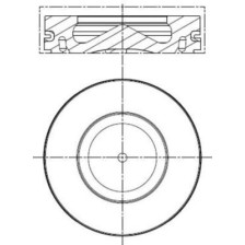 Piston MAHLE 081PI00100000