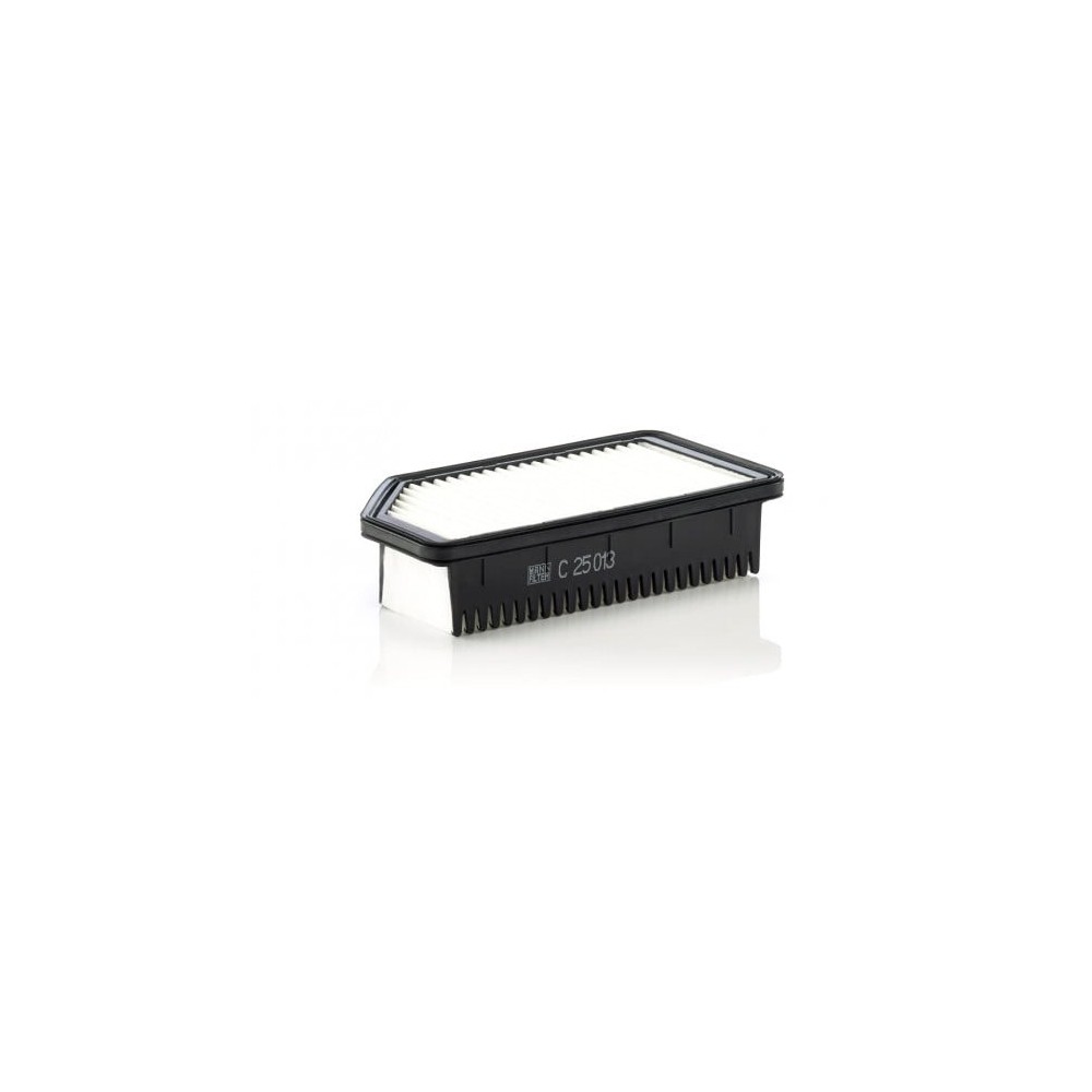 Gaisa filtrs MANN-FILTER C 25 013