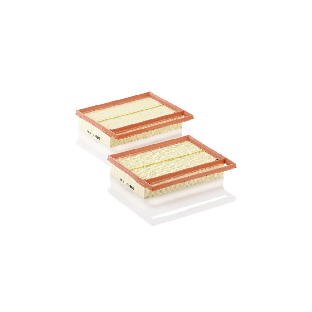 Gaisa filtrs MANN-FILTER C 25 110-2