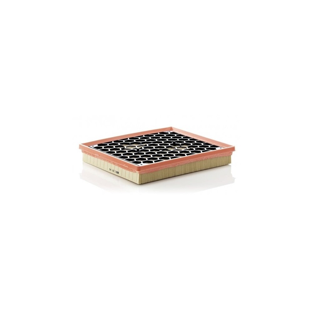 Gaisa filtrs MANN-FILTER C 29 145