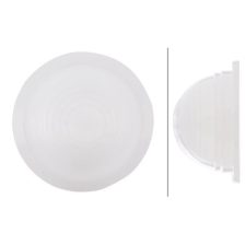 Diffusing Lens