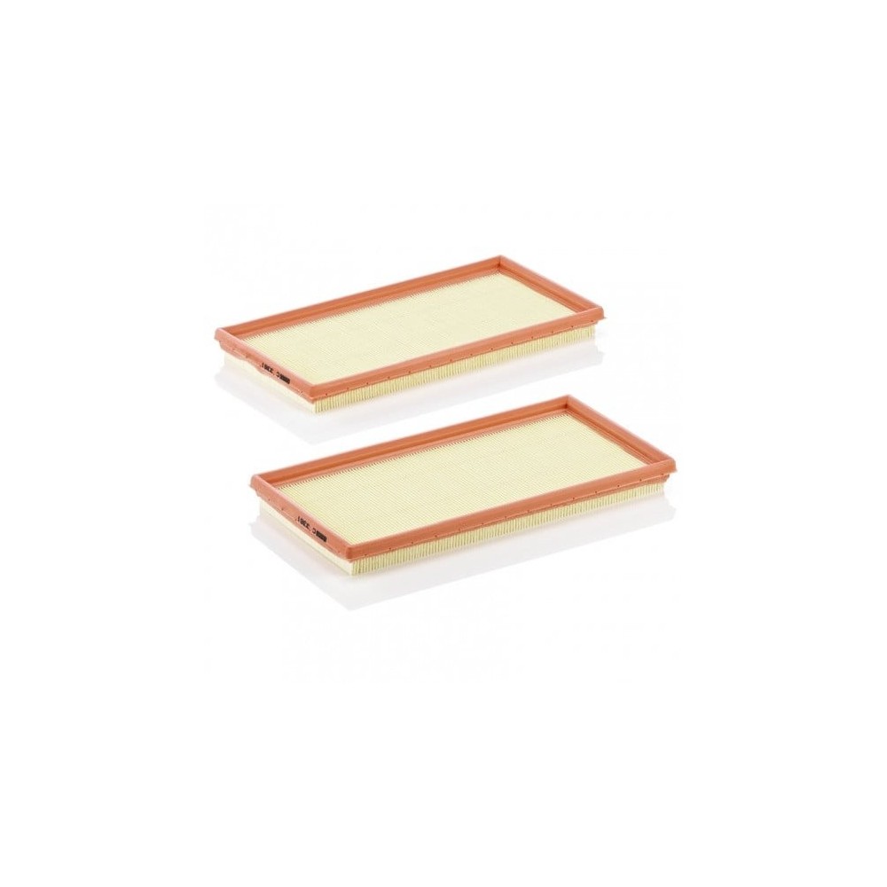 Air filter MANN-FILTER C 3361-2