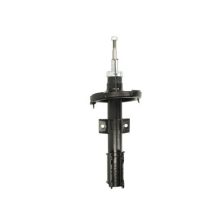 Shock Absorber Magnum Technology AGV038MT