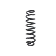 Suspension Spring Magnum Technology SM201