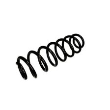 Suspension Spring Magnum Technology SS027MT