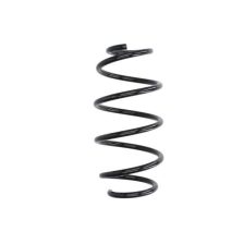 Suspension Spring Magnum Technology SU029MT