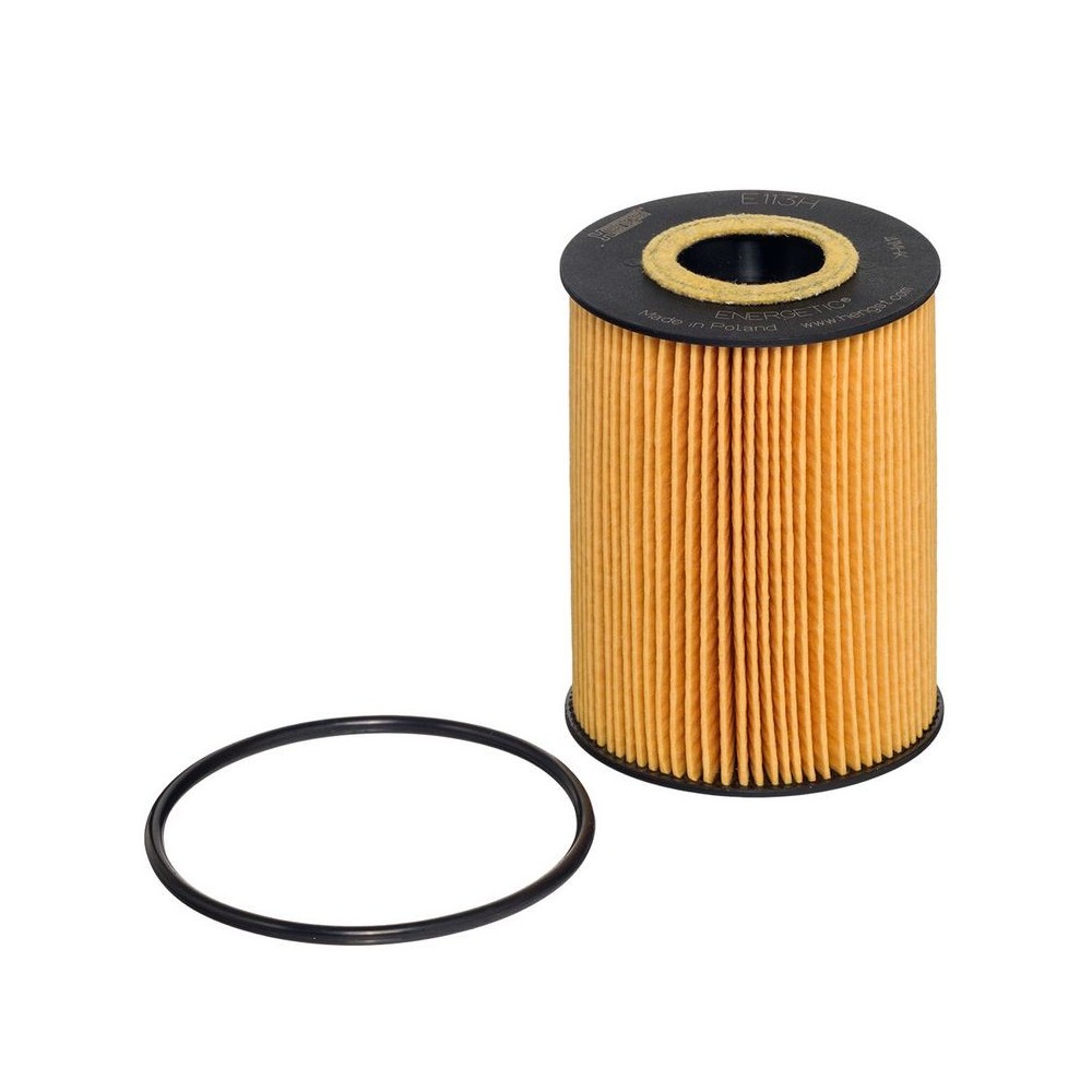 Oil Filter HENGST FILTER E113H D181
