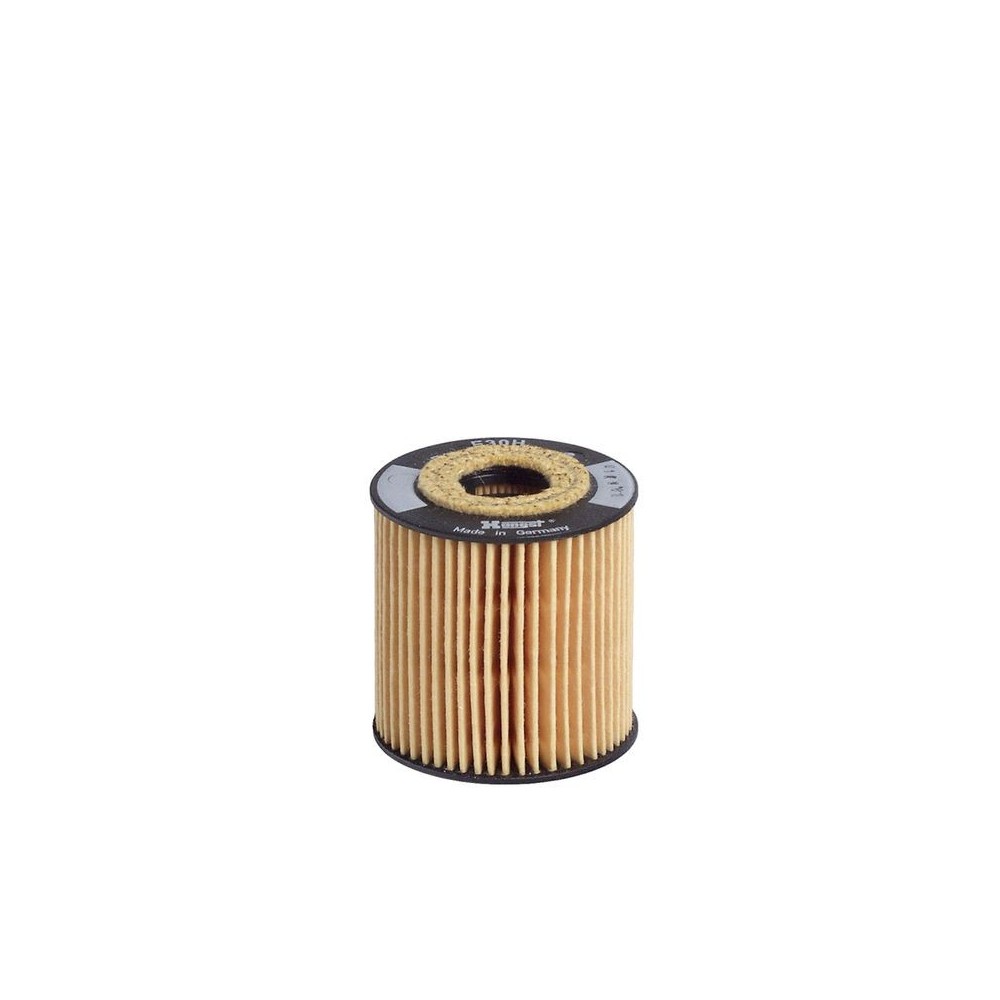 Oil Filter HENGST FILTER E30H D51