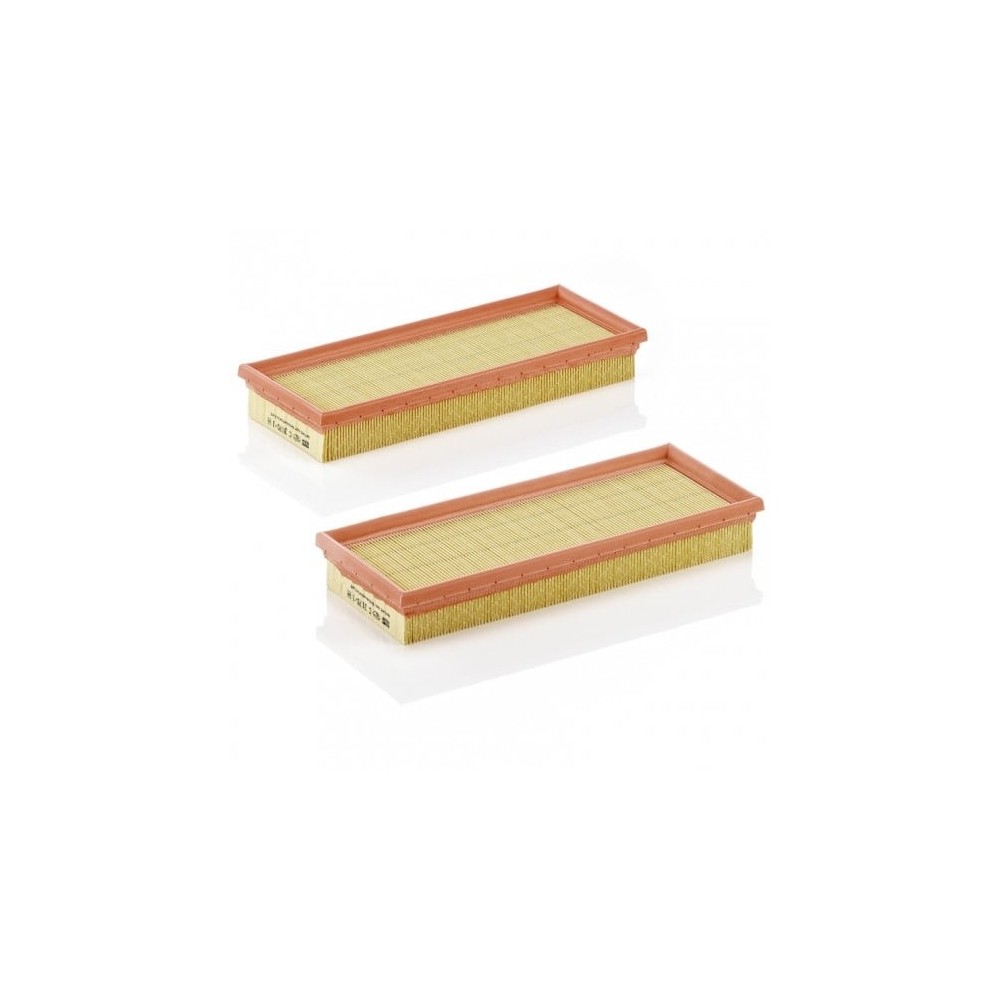 Gaisa filtrs MANN-FILTER C 3170/1-2