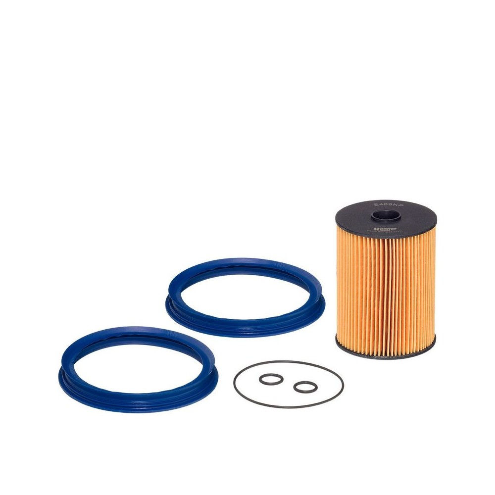 Fuel Filter HENGST FILTER E489KP D461
