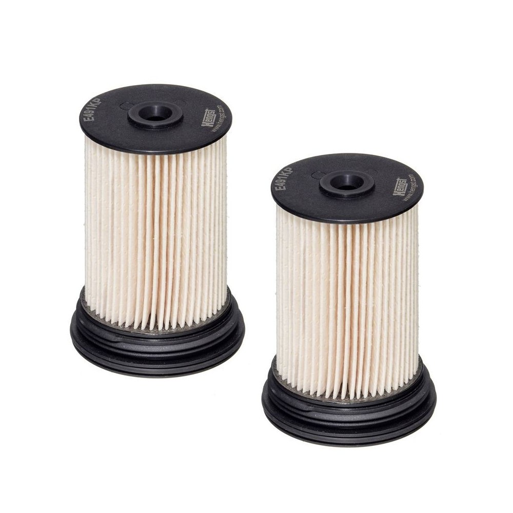 Fuel Filter HENGST FILTER E491KP D489-2