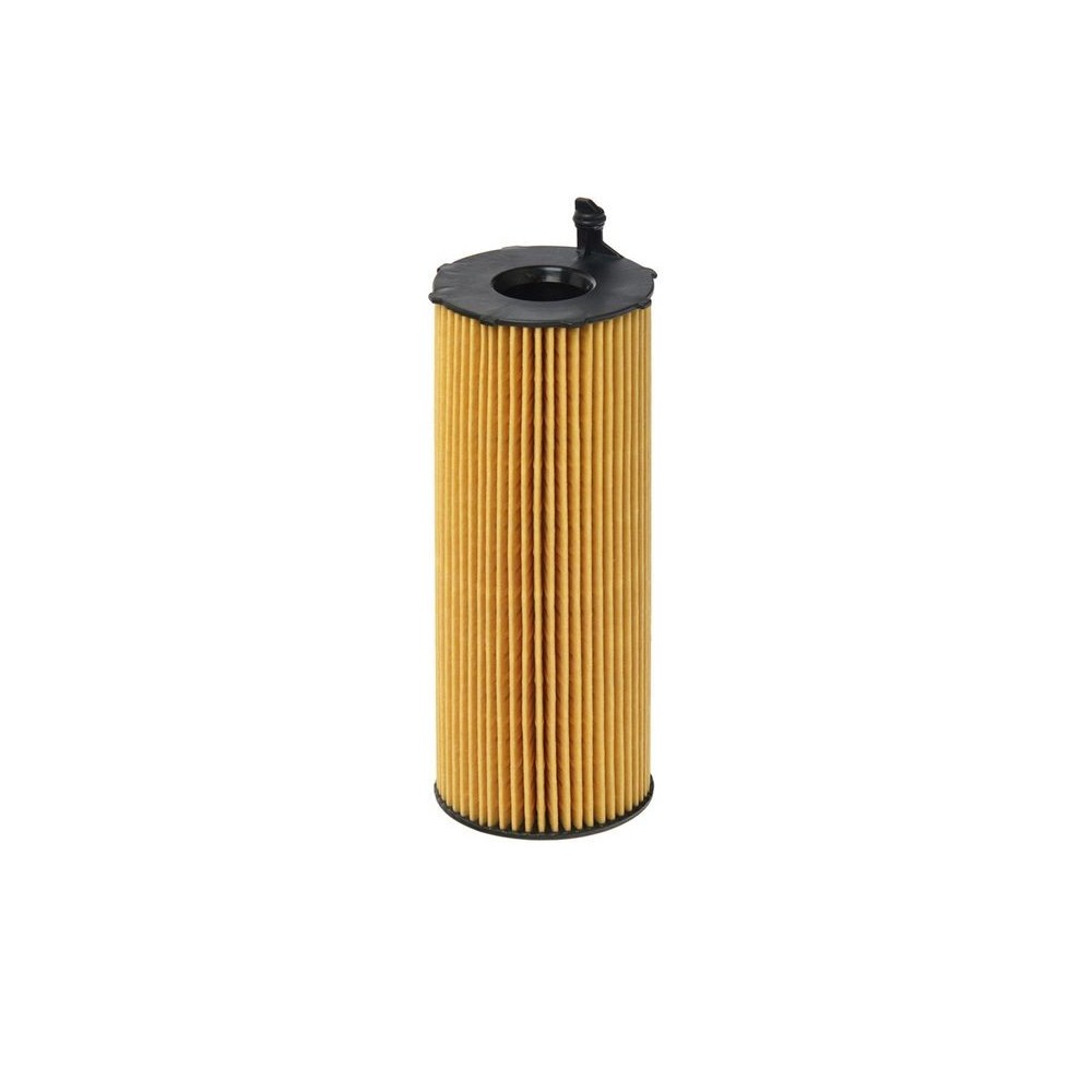 Oil Filter HENGST FILTER E73H D134