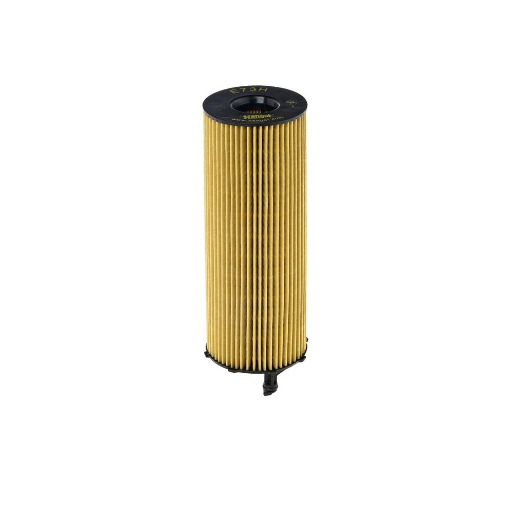 Oil Filter HENGST FILTER E73H D207