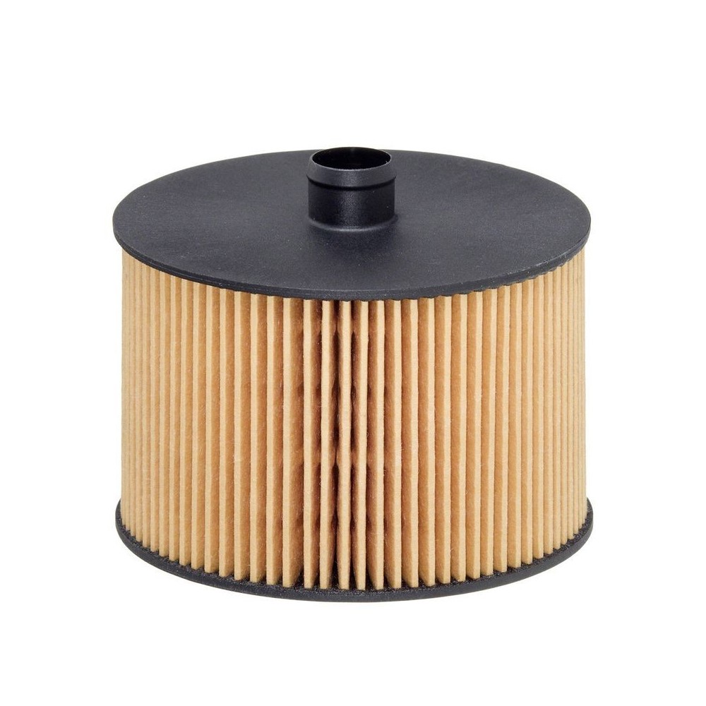 Fuel Filter HENGST FILTER E79KP D118