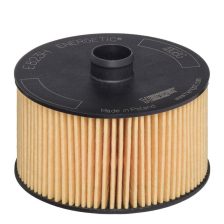 Oil Filter HENGST FILTER E823H D263