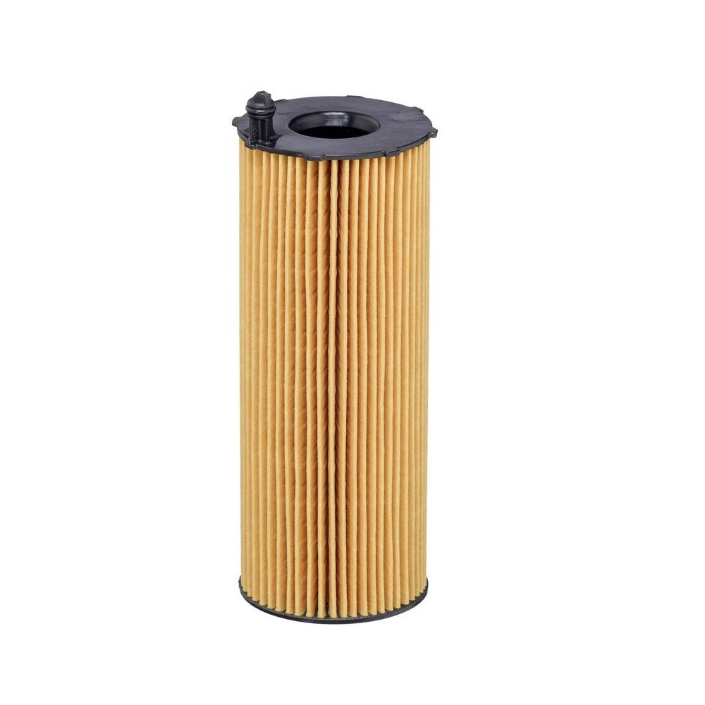 Oil Filter HENGST FILTER E838H D329