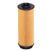 Oil Filter HENGST FILTER E859H D352