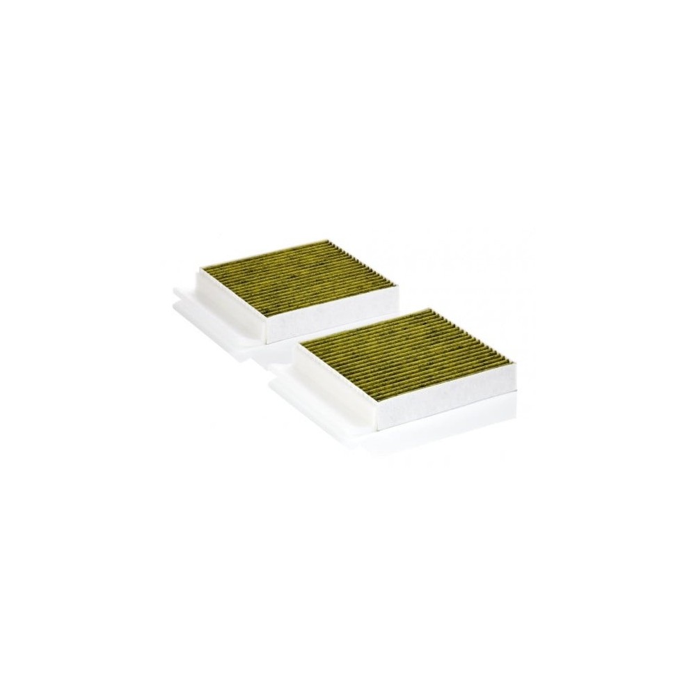 Cabin air filter MANN-FILTER FP 25 034-2
