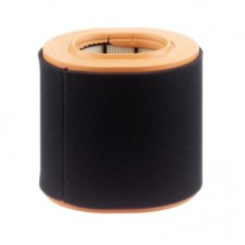 Gaisa filtrs MANN-FILTER C 20 043