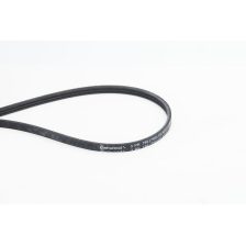 V-Ribbed Belt CONTINENTAL CTAM 3PK796 ELAST