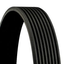 V-Ribbed Belt CONTINENTAL CTAM 8PK2063