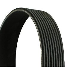 V-Ribbed Belt CONTINENTAL CTAM 9PK1825