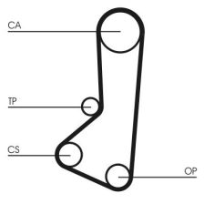 Timing Belt CONTINENTAL CTAM CT511