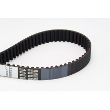Timing Belt CONTINENTAL CTAM CT877