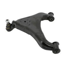 Control Arm/Trailing Arm