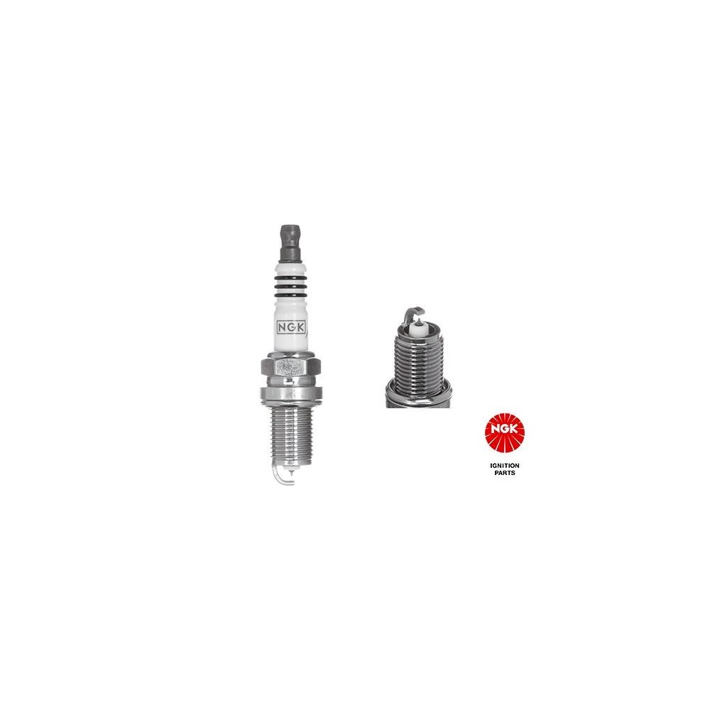 Spark Plug NGK 1219