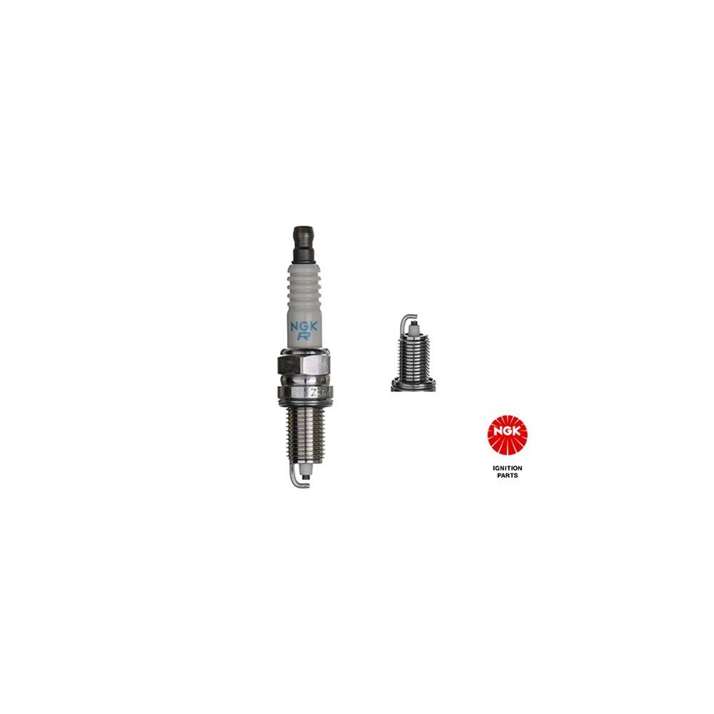 Spark Plug NGK 1691