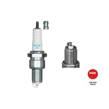 Spark Plug NGK 2023