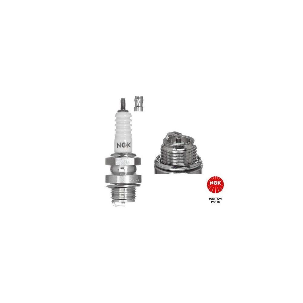 Spark Plug NGK 2910
