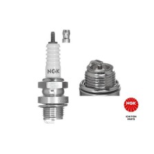 Spark Plug NGK 3010
